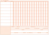 All-Purpose Sheet- Orange Ink