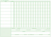 Treatment Sheet - Green Ink