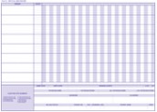 Medication Sheet - Blue Ink